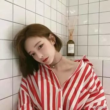 动物界